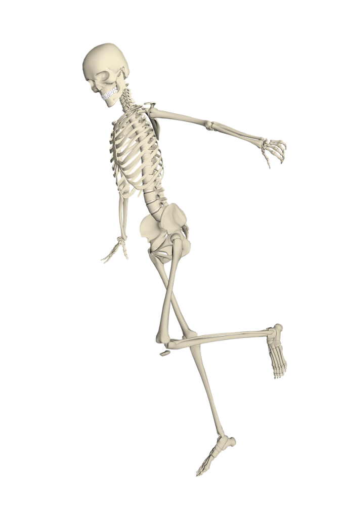 skeleton 1654866_1280 1